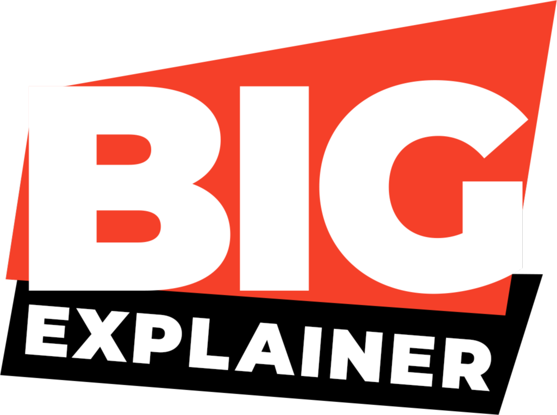 BIGexplainer